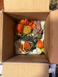 a box filled with flowers and other items